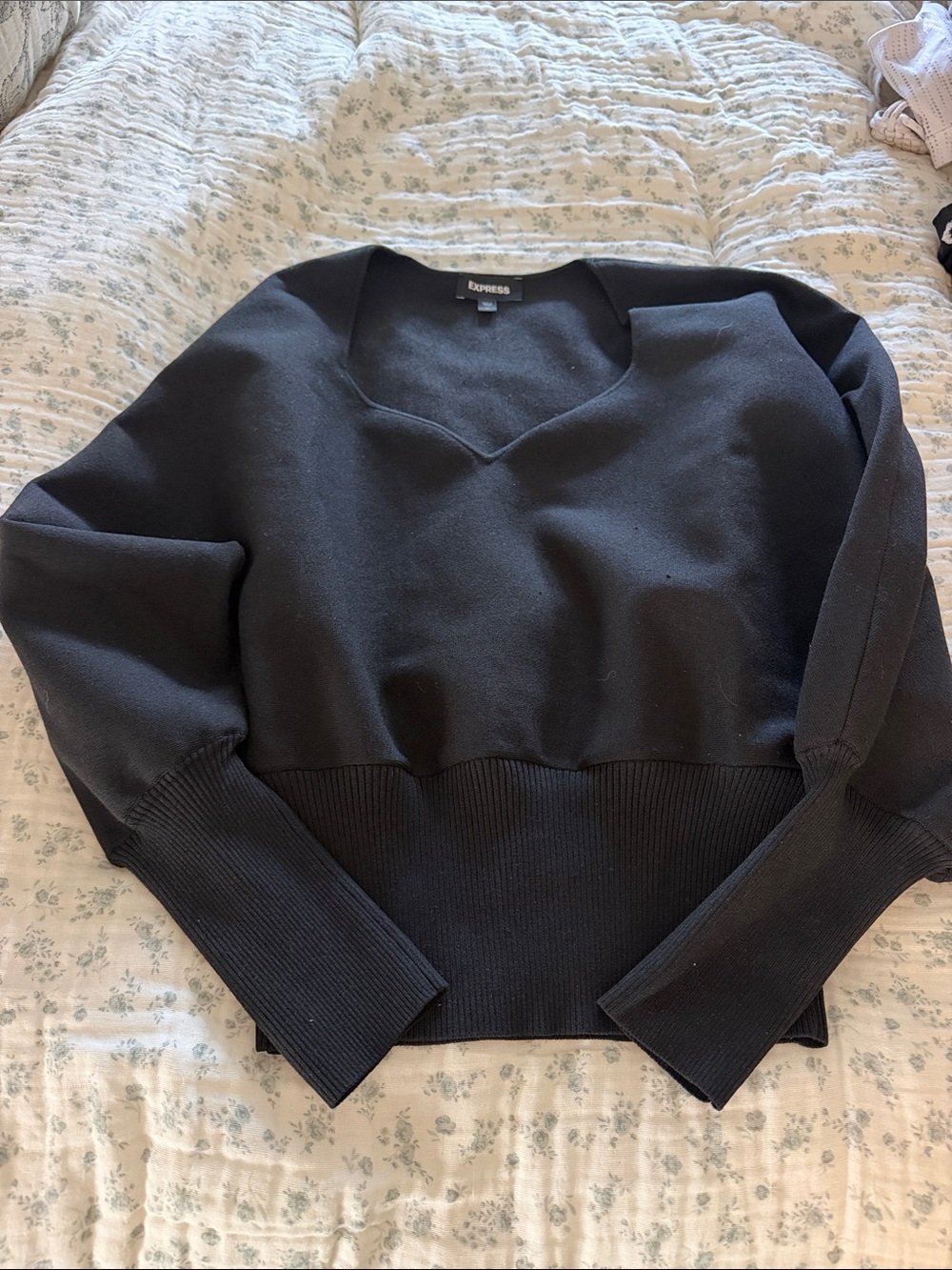 Express Women’s Black V-Neck Ribbed Hem Sweater
